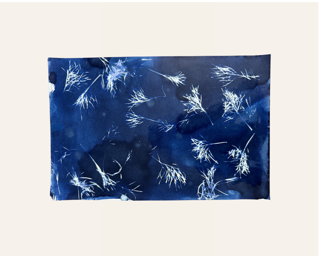 CYANOTYPE